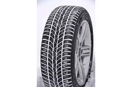 Hankook W 310